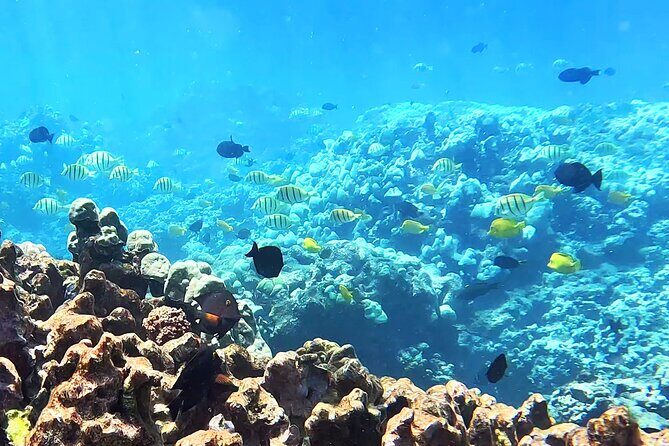 Unlimited Guided Snorkeling Tour for Beginners Plus - The Sum Up: Is This Tour Worth It?