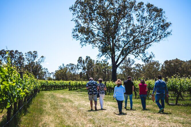 Upper Reach Winery: Swan Valley Winery and Vineyard Tour - The Value Proposition