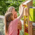 Usedom: Treetop Walk Adventure on Usedom Island - Is It Worth the Price?