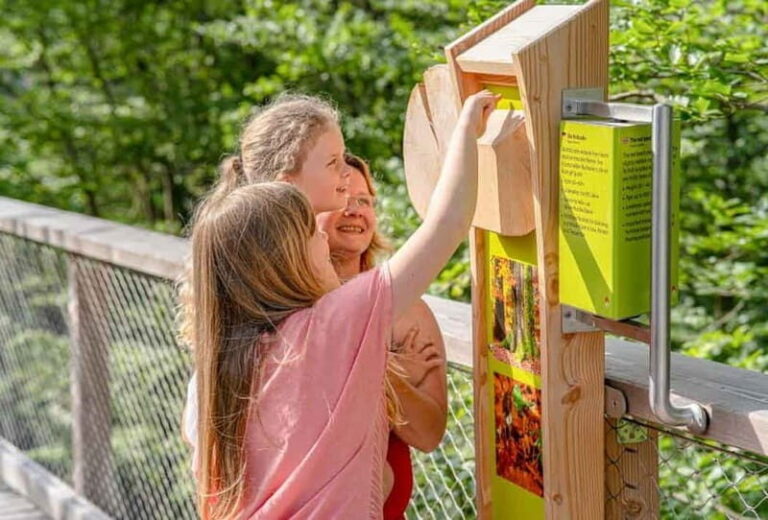 Usedom: Treetop Walk Adventure on Usedom Island - Is It Worth the Price?