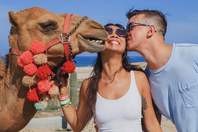 UTV Adventure + Free Camel Ride & Sky Bikes - Sky Bikes & Hiking: A High-Altitude Perspective