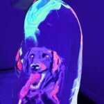 UV Body Painting Experience for Couples in Brooklyn - Who Will Love This Experience?