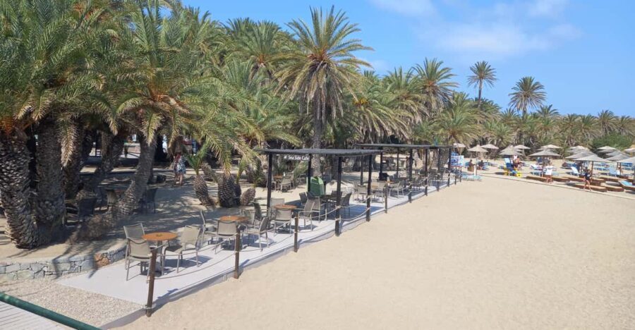 Vai Palm Beach Full Day Private Tour - A Detailed Look at the Vai Palm Beach Private Tour
