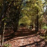 Val Senagra - The Enchanted Valley - Who Will Love This Tour?
