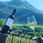 Valdadige: Winery Tour with 4 Wine Tastings - Who Will Appreciate This Experience?