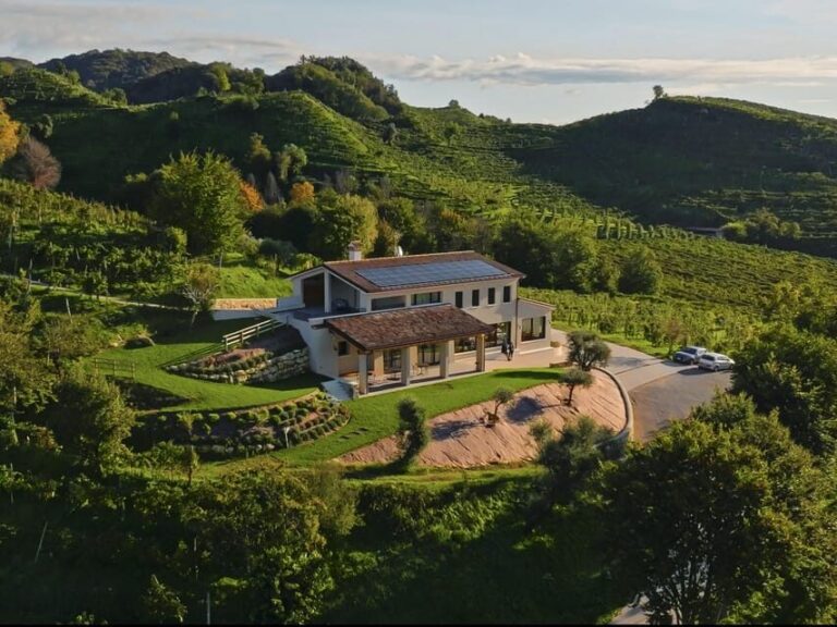 Valdobbiadene: Prosecco tasting with winery & vineyard tour - Who Will Love This Tour?