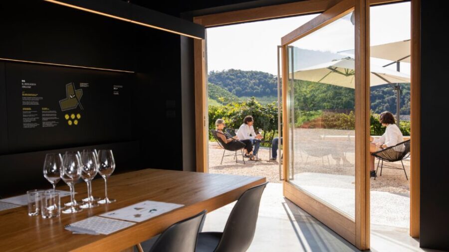 Valdobbiadene:Prosecco tasting,appetizers,winery & vineyard - Vineyard Walk and Vinification