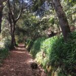 Vale Paraiso - Paradise Valley Walk - Final Thoughts: Worth the Balance of Simplicity and Depth
