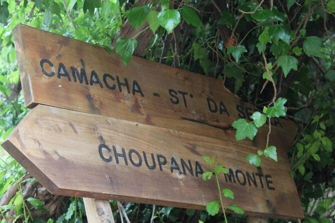 Vale Paraíso - Rochão (Half Day Walk) - Who Is This Tour Best For?