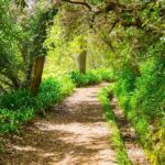 Vale Paraíso Rochão Madeira Island Walk - Who Will Love This Tour?