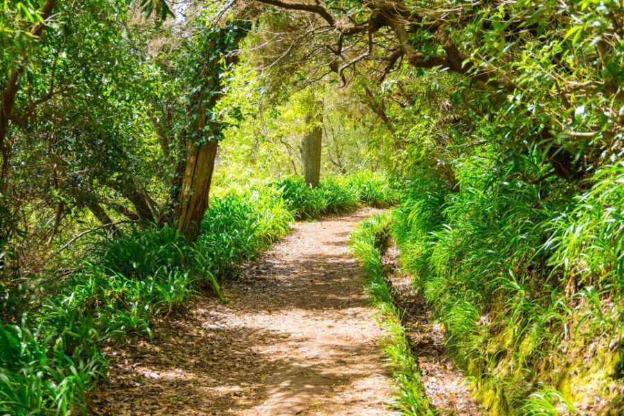 Vale Paraíso Rochão Madeira Island Walk - Who Will Love This Tour?
