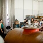 Valeggio: "Perlage d'Autore," bubbles of excellence and guided tour - An In-Depth Look at “Perlage dAutore” at Corte Fornello