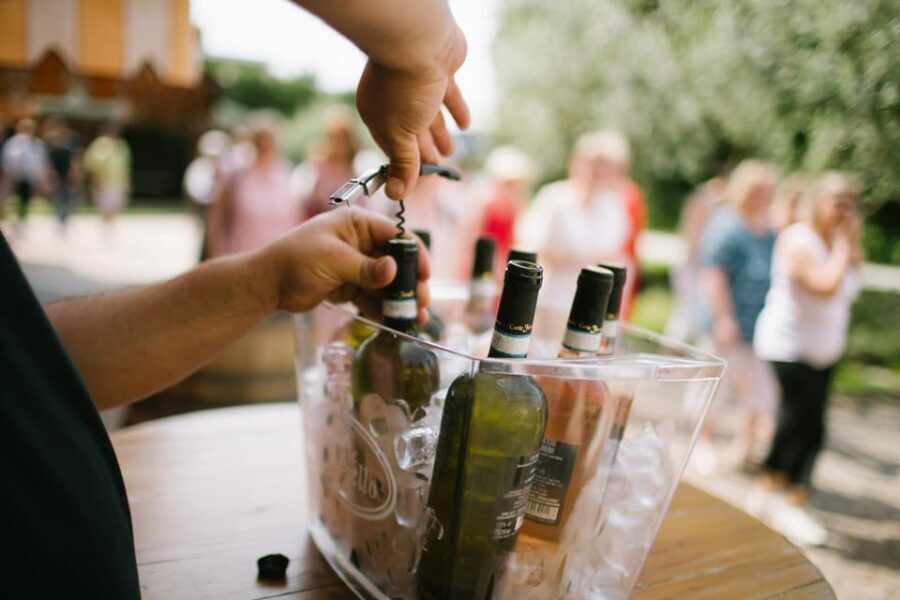 Valeggio: Summer Sips - 3 young wines with guided winery tour. - Practical Details and Why They Matter