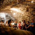 Valeggio: The Essence of Oak: guided tour among wines aged in wood - The Vineyard Tour: From Grape to Glass