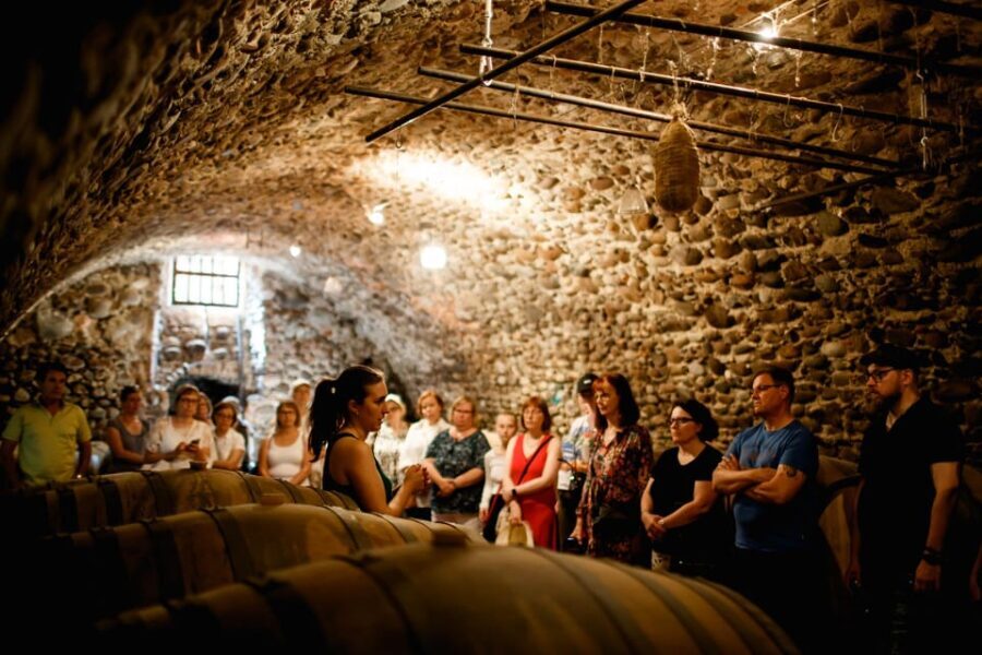 Valeggio: The Essence of Oak: guided tour among wines aged in wood - The Vineyard Tour: From Grape to Glass