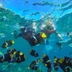 Vallarta: Yelapa Waterfall & Majahuitas Snorkel Adventure - Practical Details and What to Expect