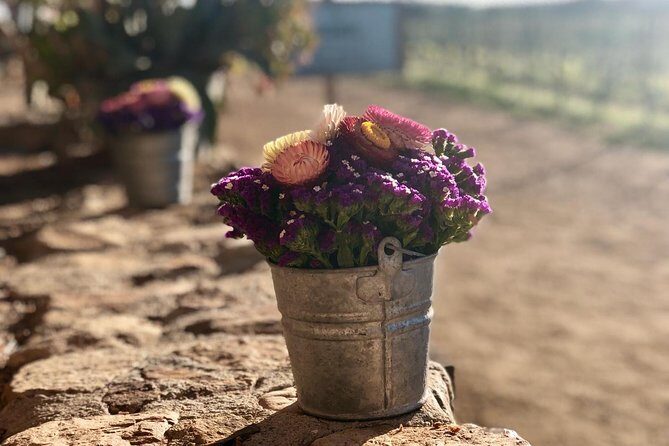 Valle de Guadalupe COUPLES wine tasting for 2 - What Travelers Love Most