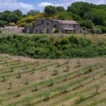 Valle del Lago eBike Tour with Food & Wine Tasting Experience - Food & Wine Experience: A True Taste of Tuscia