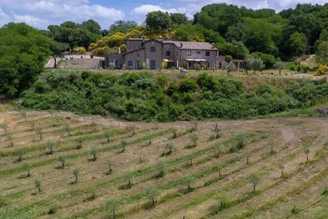 Valle del Lago eBike Tour with Food & Wine Tasting Experience - Food & Wine Experience: A True Taste of Tuscia