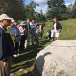 Vallentuna: Walking Tour and Viking History at Granby Farm - What You’ll Experience in Detail