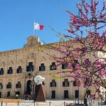 Valletta: City Walking Tour in a Small Group - FAQs