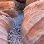 Valley of Fire/ Mojave Desert VIP Small Group Tour From Las Vegas - Who Should Book This Tour?