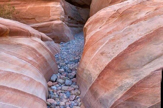 Valley of Fire/ Mojave Desert VIP Small Group Tour From Las Vegas - Who Should Book This Tour?