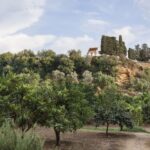 Valley of the Temples: Kolymbethra Garden Entry Ticket - The Experience in Context