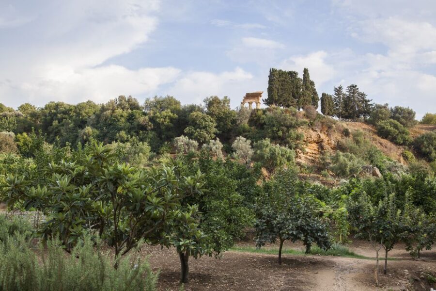 Valley of the Temples: Kolymbethra Garden Entry Ticket - The Experience in Context