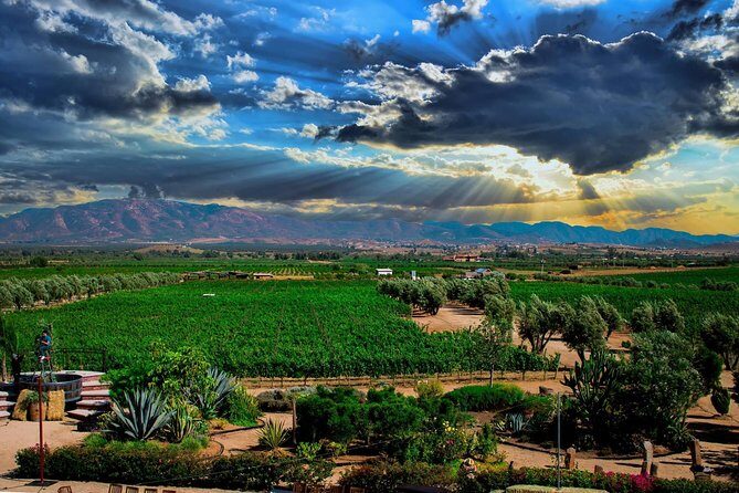 Valley tour /Bakuss/bloodlust/Relief/restaurant Elena/justina - What’s Included and What’s Not