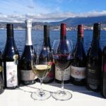Valleys of Vino Full Day Tour - Who Will Love This Tour?
