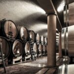 Valpolicella: 1.5-Hour Guided Winery Tour with Wine Tasting - A Deep Dive into the Valpolicella Experience