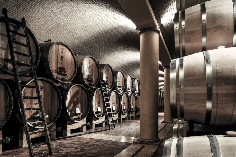 Valpolicella: 1.5-Hour Guided Winery Tour with Wine Tasting - A Deep Dive into the Valpolicella Experience