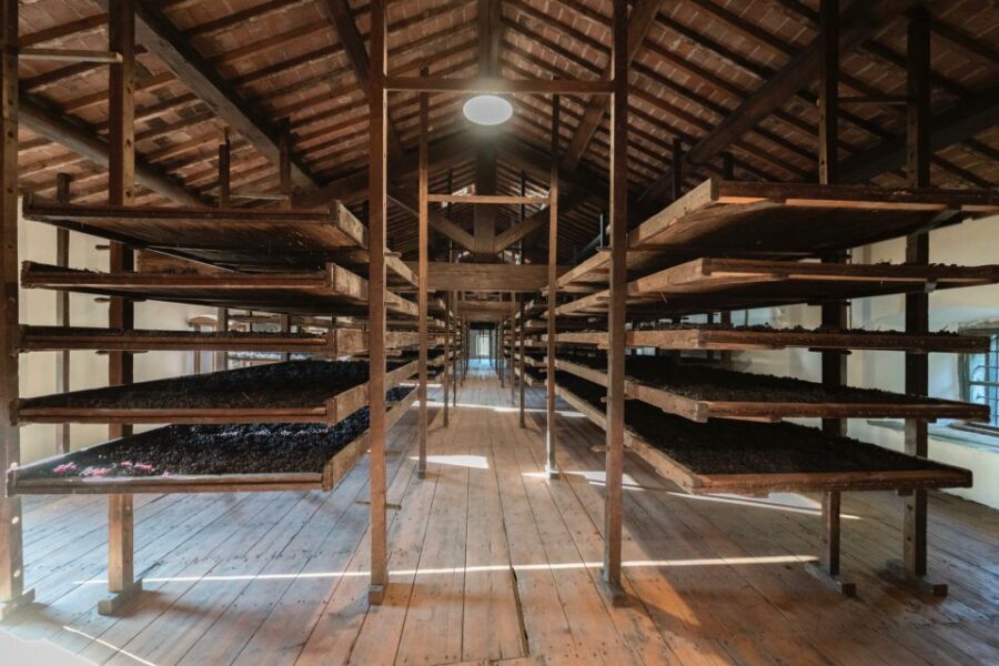 Valpolicella: Amarone Chateau Guided Tour and Wine Tasting - A Comprehensive Look at the Valpolicella Tour