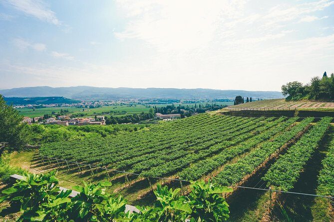 Valpolicella and Amarone Wine-tasting Tour from Verona - Detailed Breakdown of the Itinerary