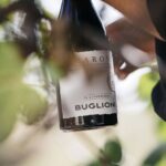 Valpolicella Lunch or Dinner Wine & Food tasting with Amarone - Transition to the Restaurant: The Heart of the Experience