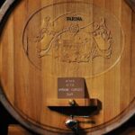 Valpolicella Wine Tasting Experience & Light Lunch - An In-Depth Look at the Valpolicella Wine Tasting Experience