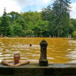 Van  Laketour  Furnas  Full Day/ with lunch (Shared) - Authentic Experiences that Make This Tour Special