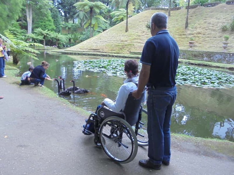 Van Tour Furnas (Full Day) - The Value of the Tour