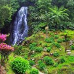 Van Tour Nordeste - Transportation and Group Dynamics