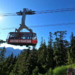 Vancouver: Capilano Bridge, Cleveland Dam & Lynn Canyon Tour - The Practical Side: What You Need to Know