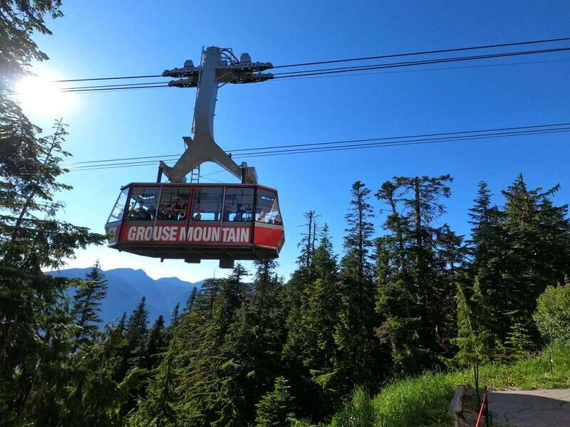 Vancouver: Capilano Bridge, Cleveland Dam & Lynn Canyon Tour - The Practical Side: What You Need to Know