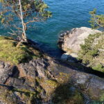 Vancouver: Lighthouse Park Hike - Exploring Lighthouse Park Hike: What to Expect