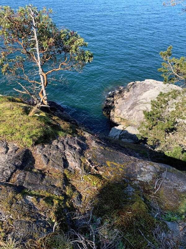 Vancouver: Lighthouse Park Hike - Exploring Lighthouse Park Hike: What to Expect