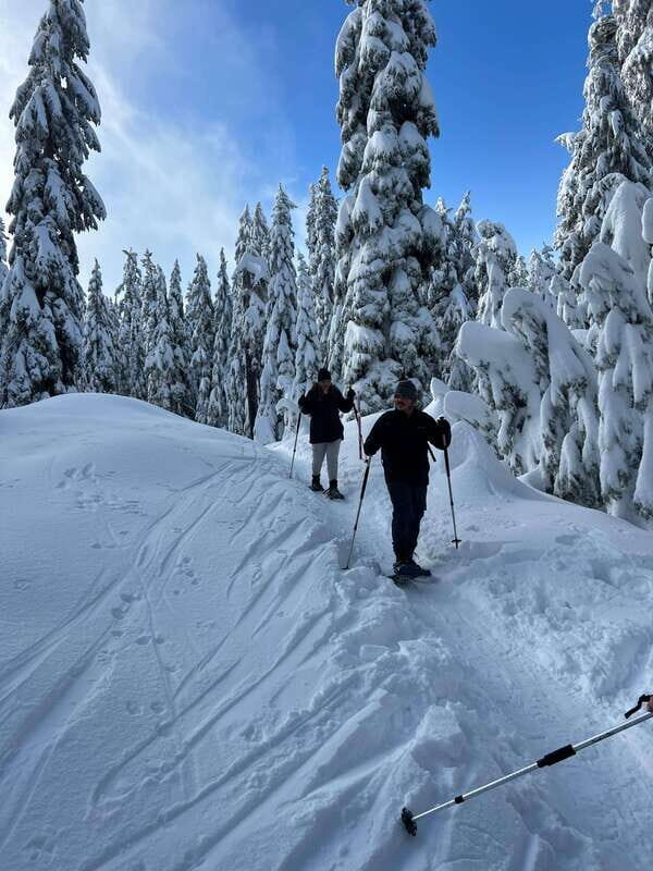 Vancouver: North Shore Mountains Snowshoeing with Transfer - Who Should Consider This Tour?