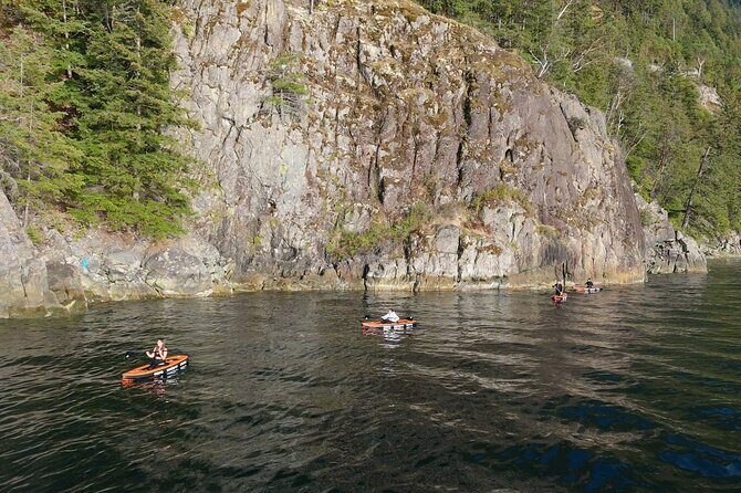 Vancouver: Snorkeling Seals Kayaking Scenic Boat Tour - Who Will Love This Tour?