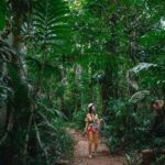 Vanuatu Skybridge - The Highlights of the Experience
