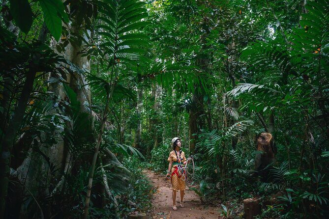 Vanuatu Skybridge - The Highlights of the Experience