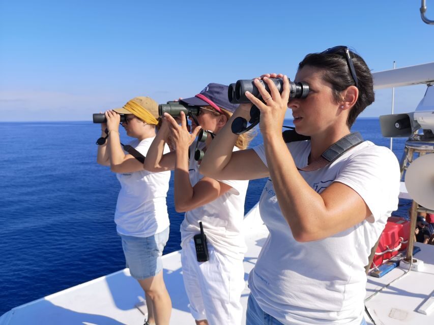 Varazze: Pelagos Sanctuary Guided Cetacean Watching Tour - What Makes This Tour Stand Out?