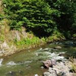 Vardzia Tour from Tbilisi with Rabati Castle and Borjomi Park - Authentic Insights from Travelers